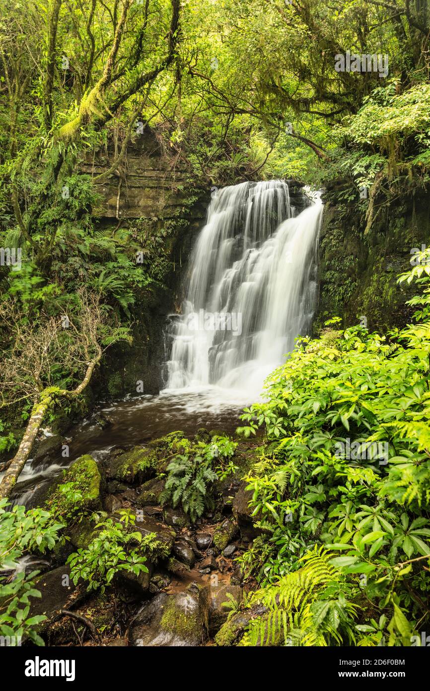 Horseshoe Falls, Matai Stream, Matai Falls Walk, The Catlins, Otago, South Island, New Zealand, Oceania Stock Photo
