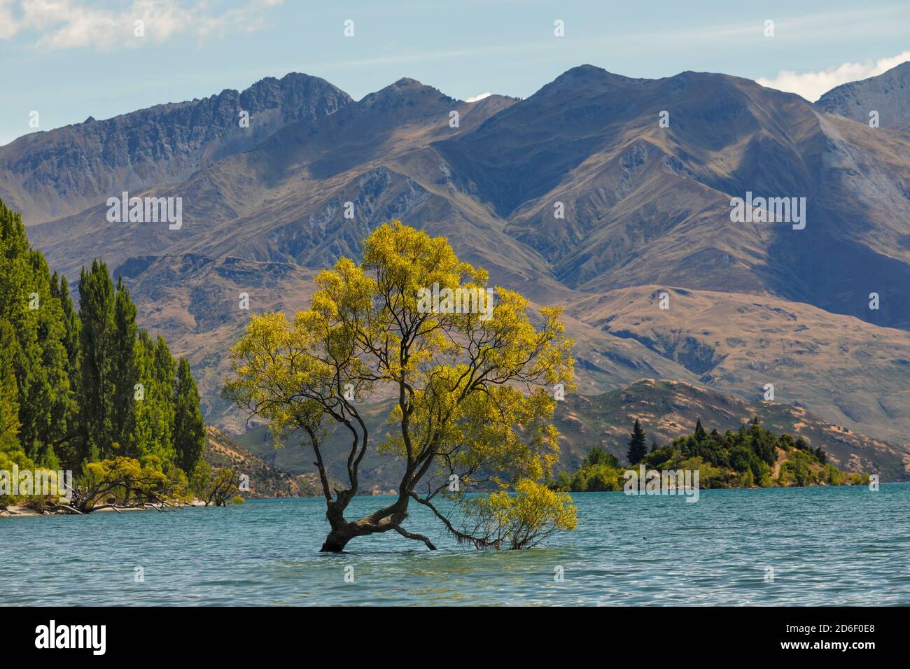 Lake Wanaka, Mount Aspiring National Park, UNESCO World Heritage Site, Otago, South Island, New Zealand, Oceania Stock Photo