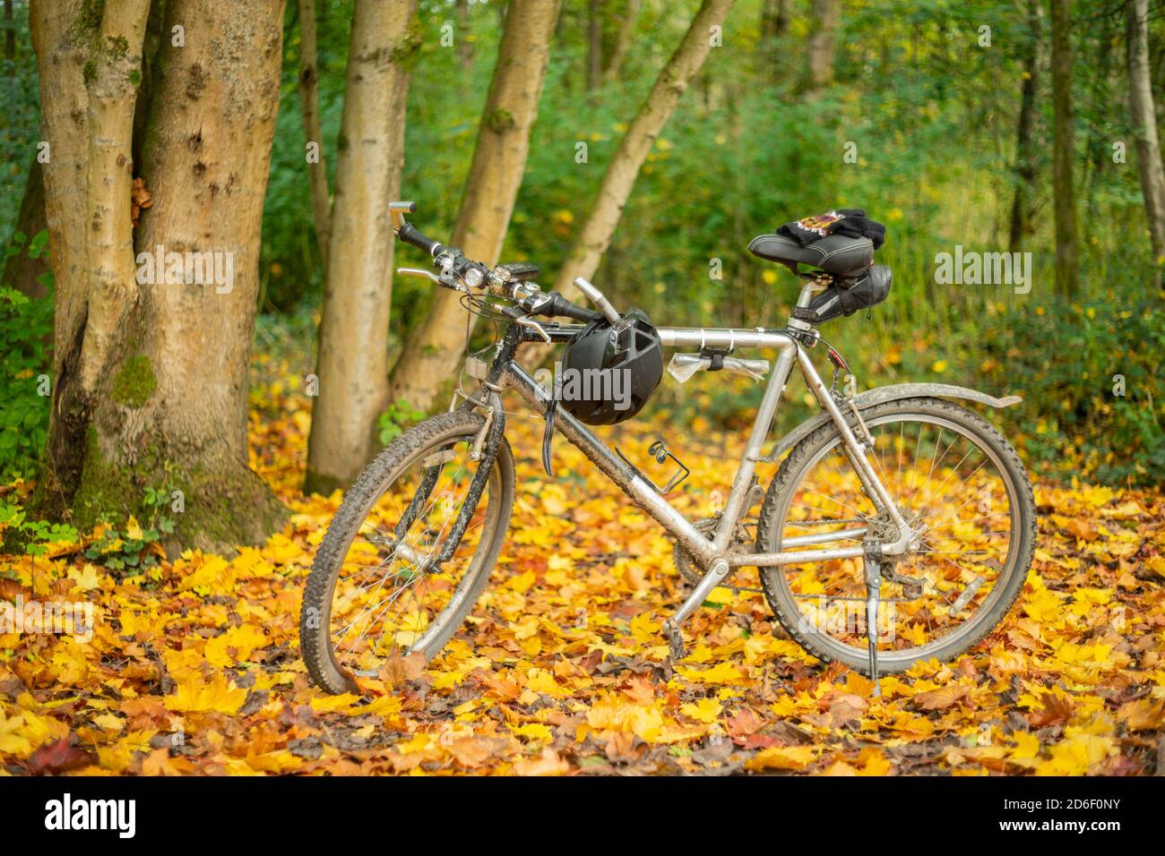 Yellow mountain bike hi-res stock photography and images - Alamy