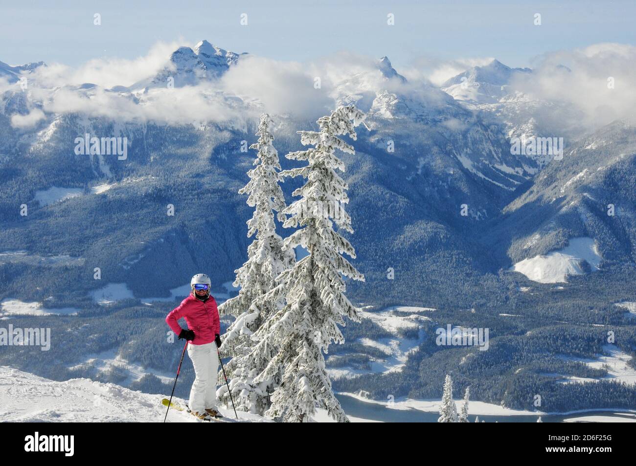 One adult female skier standing against a backdrop of a majestic winter landscape and snow covered trees. Revelstoke, Canada. Model release. Stock Photo