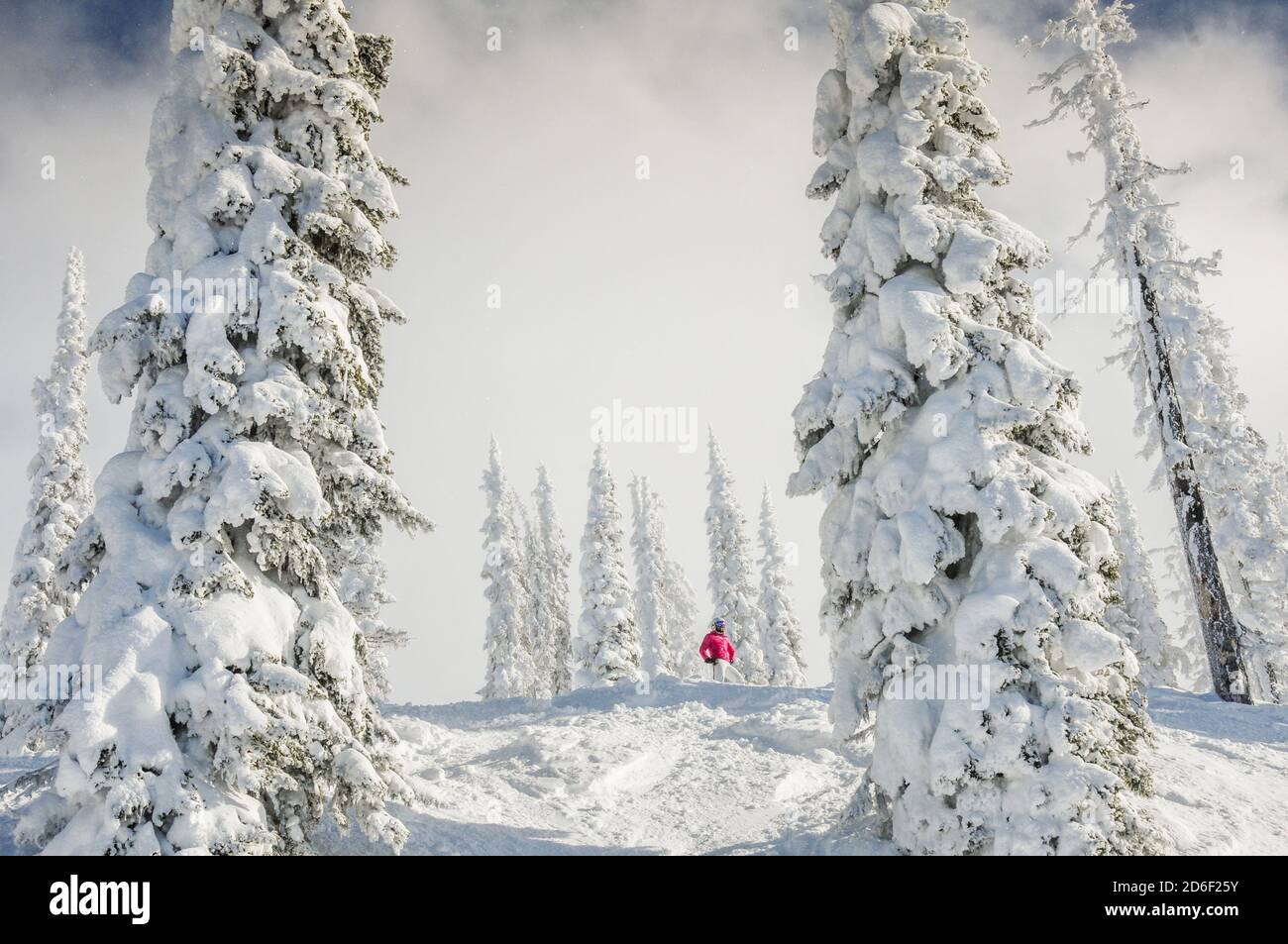 Female skier looking at the a steep ski run with powder snow and snow covered trees. Revelstoke, Canada. Model release. Stock Photo