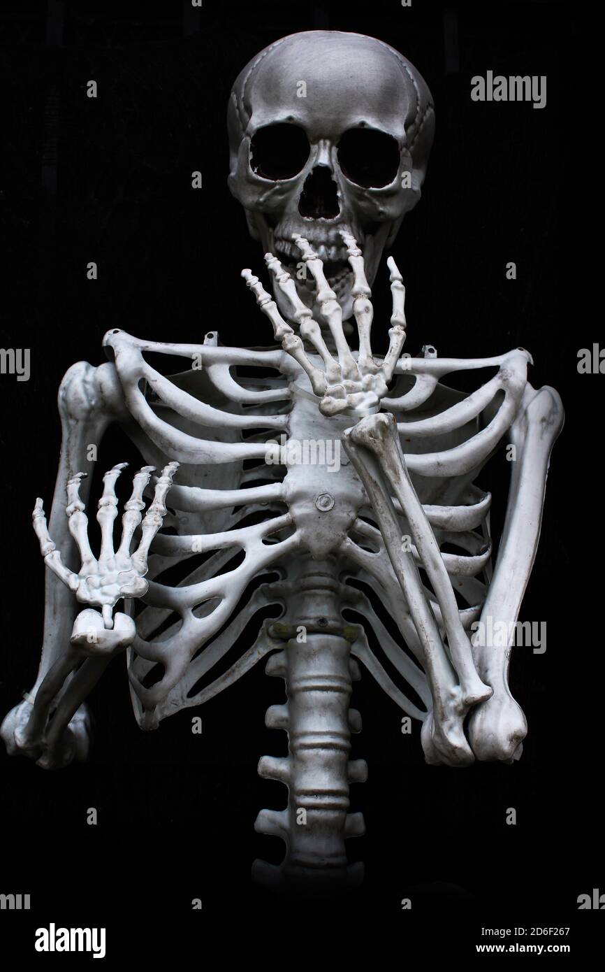 Laughing skeleton hi-res stock photography and images - Alamy