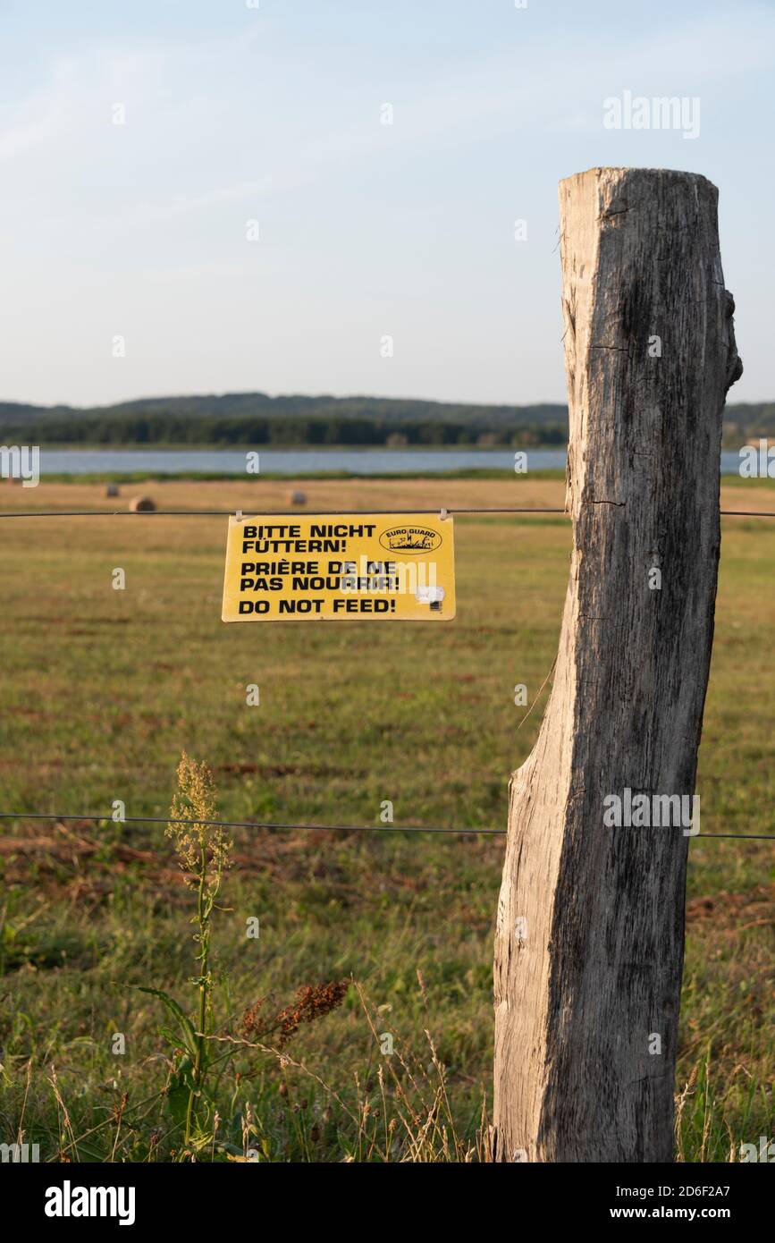 Germany, Mecklenburg-Western Pomerania, Ruegen Island, Seedorf, trilingual warning sign 'Please do not feed!' Stock Photo