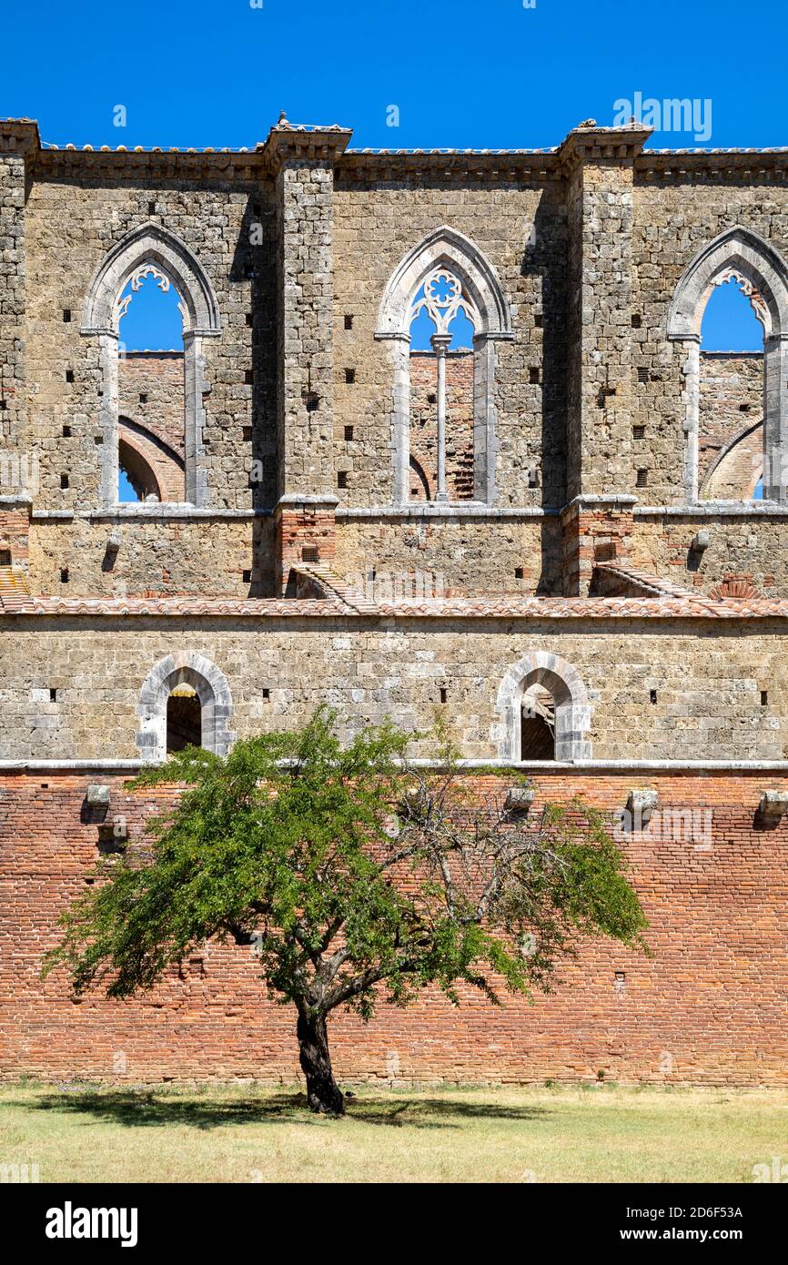 San Galgano abbey ruins, exterior view, Chiusdino municipality, Siena province, Tuscany, Italy Stock Photo