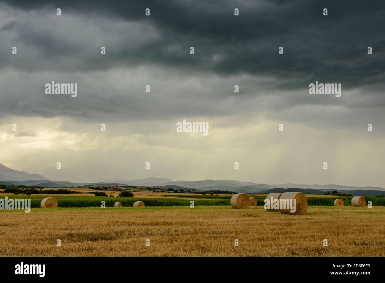 Dark rain clouds over field of harvested wheat. Stock Photo