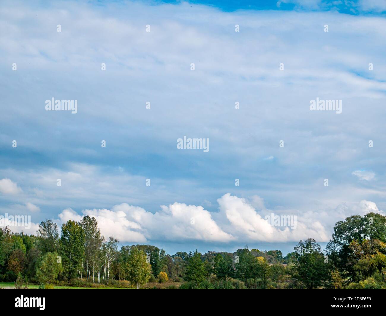 Tree trees horizon cloud hi-res stock photography and images - Alamy