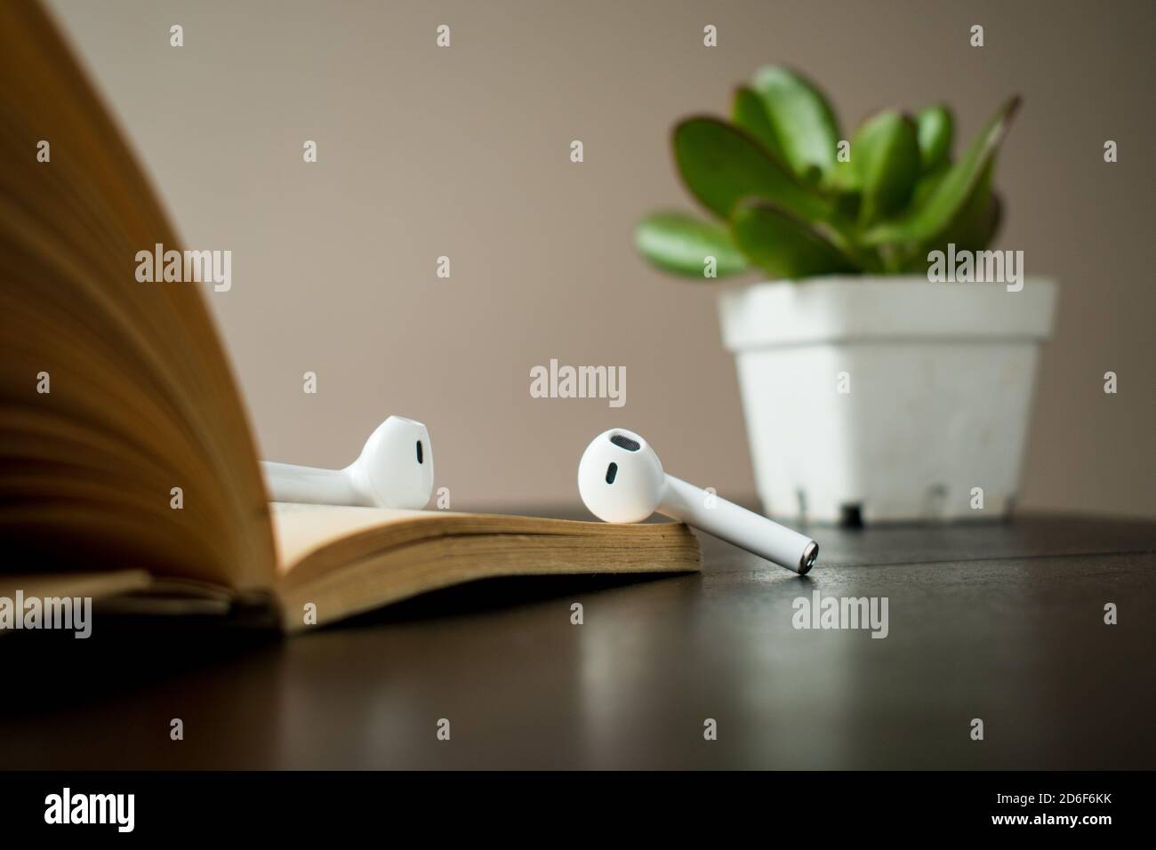 Some modern white earphones on a book  with a little plant on a black wooden table Stock Photo