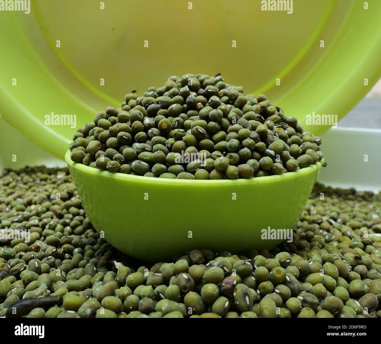 Harvested mung beans hi-res stock photography and images - Alamy