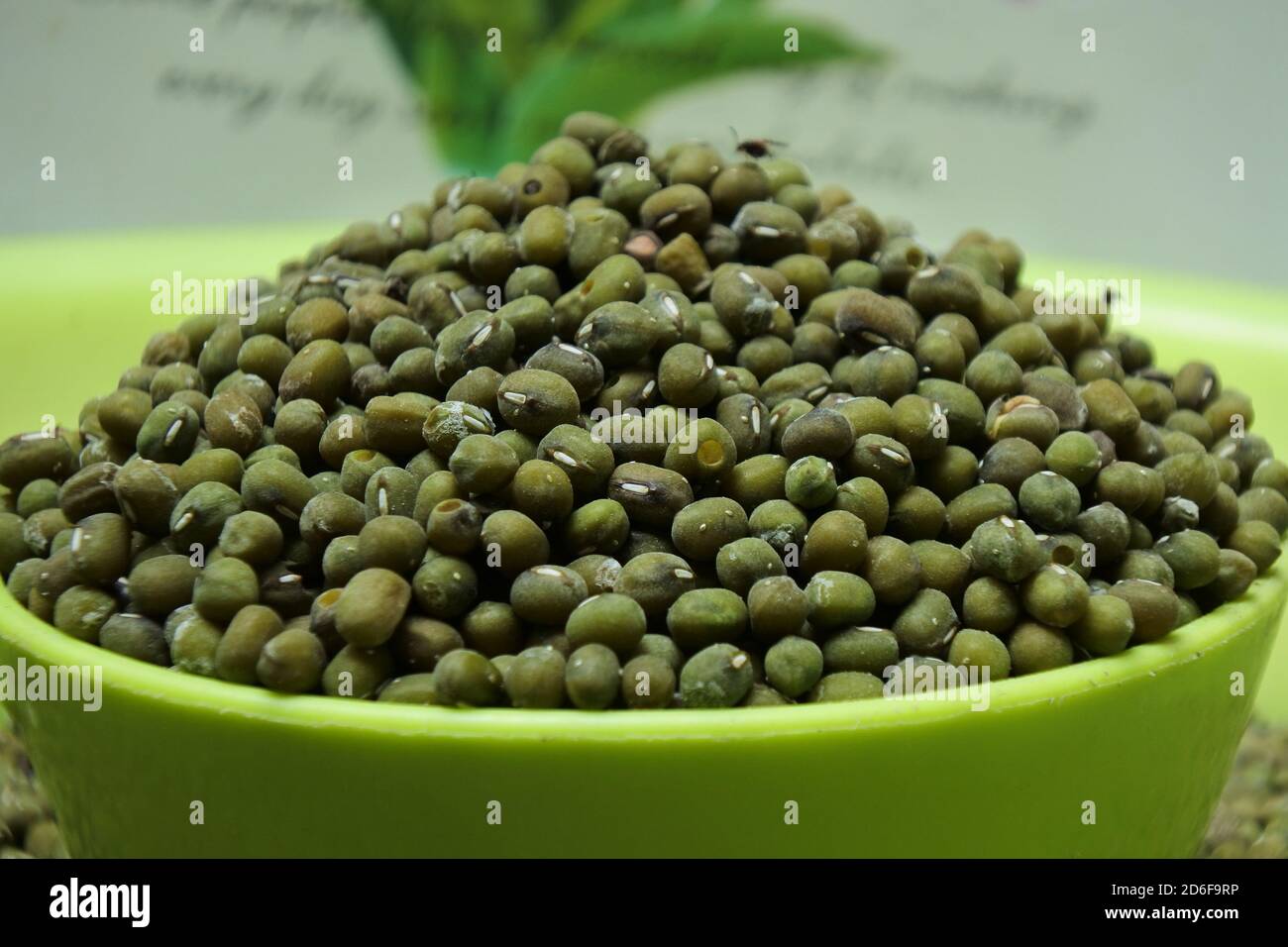 Mung bean farm hi-res stock photography and images - Alamy