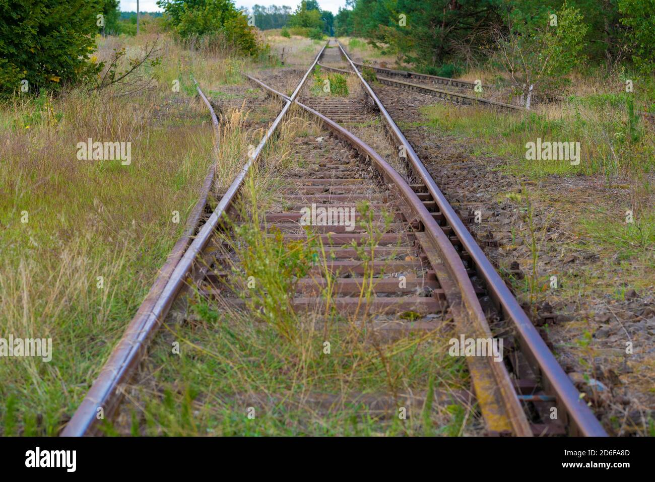 Old railway tracks with switches covered with grass Stock Photo - Alamy