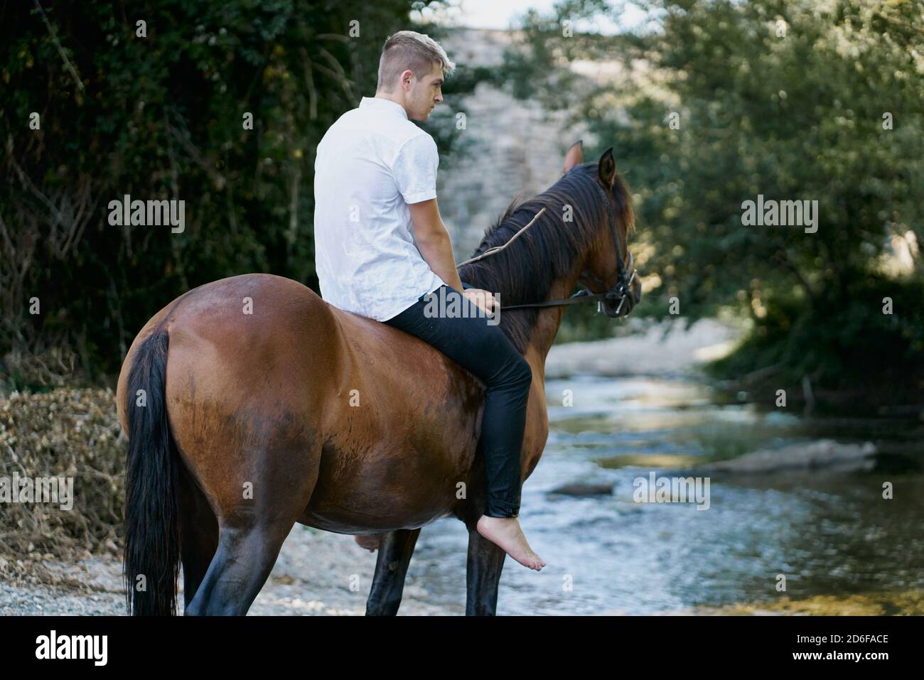 Portrait of a young blond man riding a horse over a river Stock Photo ...