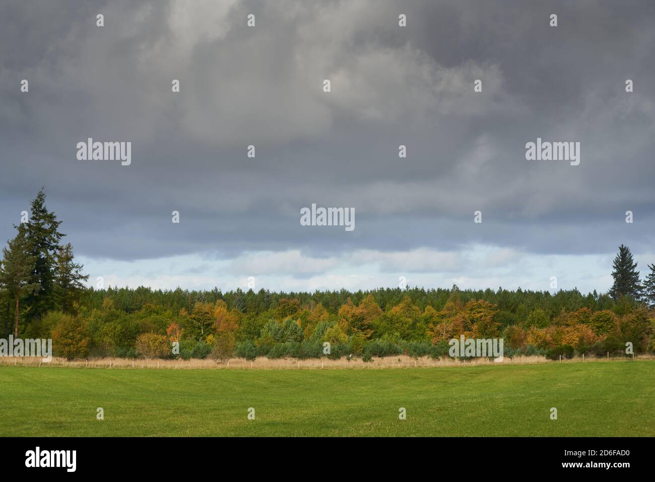 14 October 2020. Elgin, Moray, Scotland, UK. This a view across the sunlit field to the forest with grey stormy clouds forming in Elgin. Stock Photo