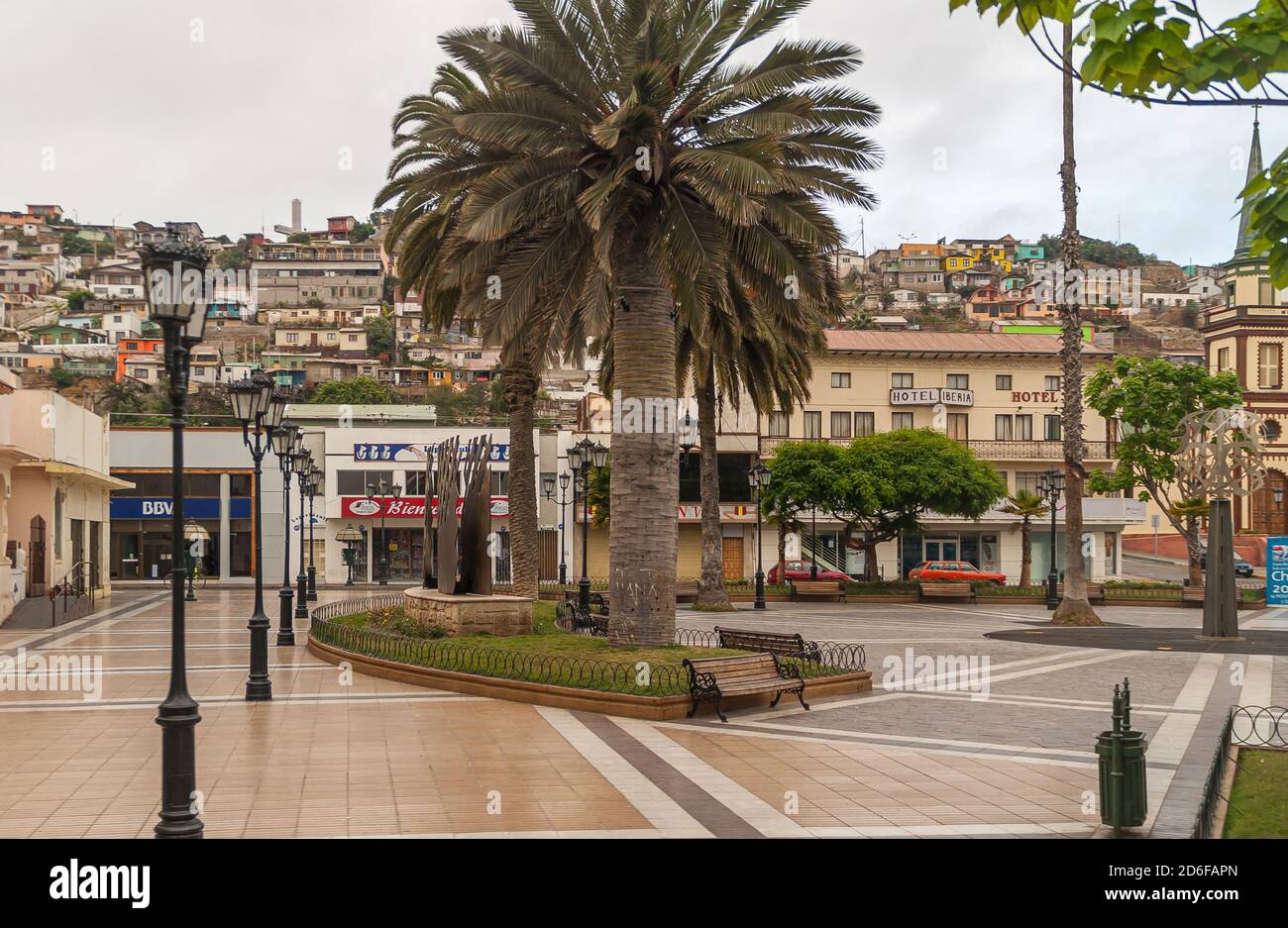 Coquimbo, Chile - December 7, 2008: Early morning on Plaza de Armas showing Hotel Ibiza and its neighbors. Big green palm tree on empty square. Backdr Stock Photo