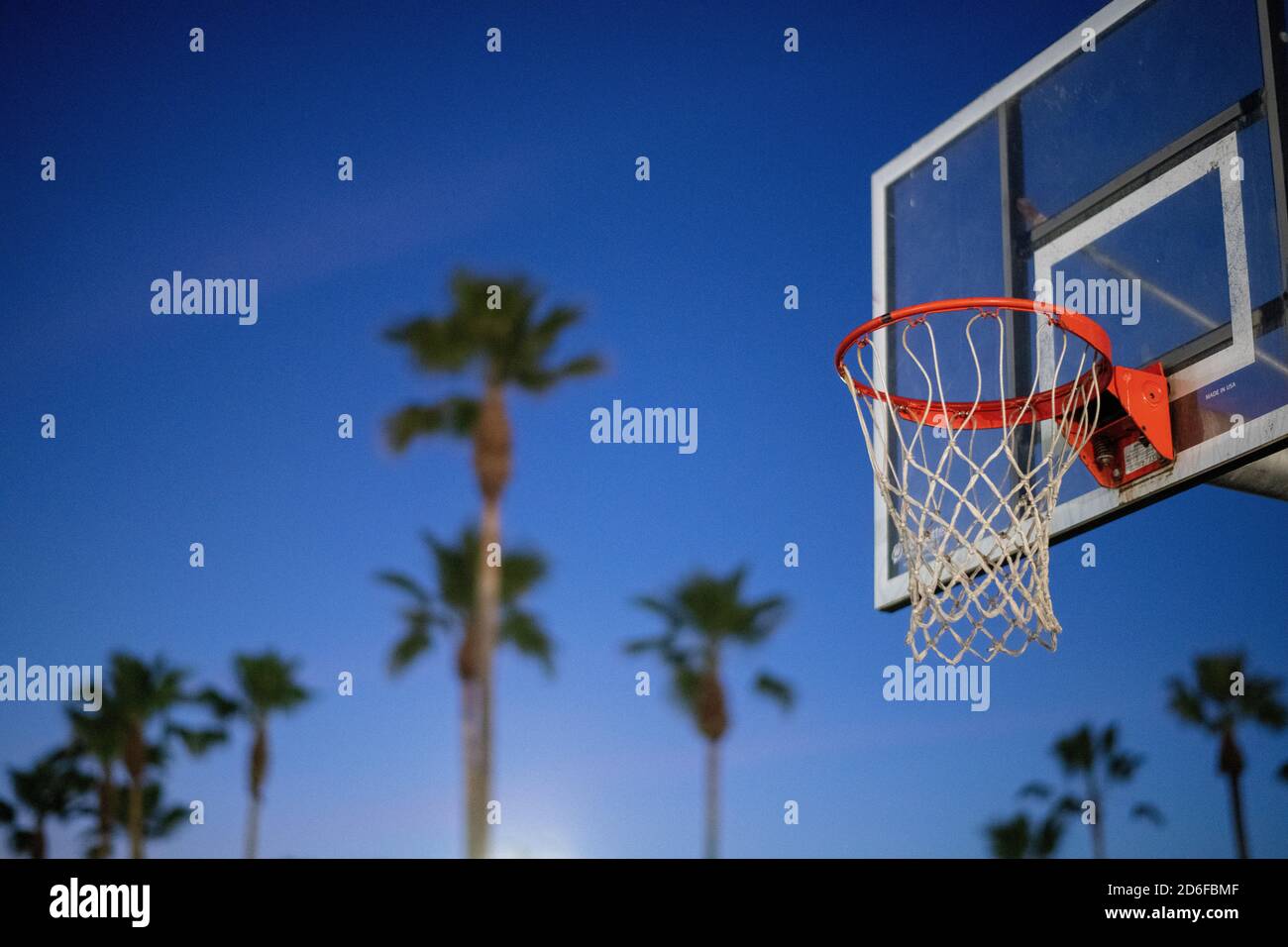 Basketball hoop and palm trees with an intense blue sky Stock Photo