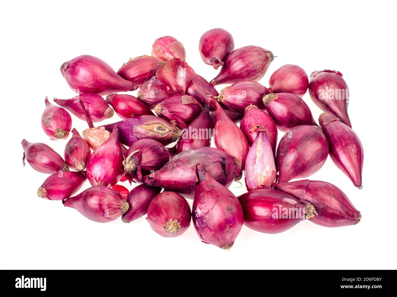 Dark red onion bulbs for planting in ground. Studio Photo Stock Photo