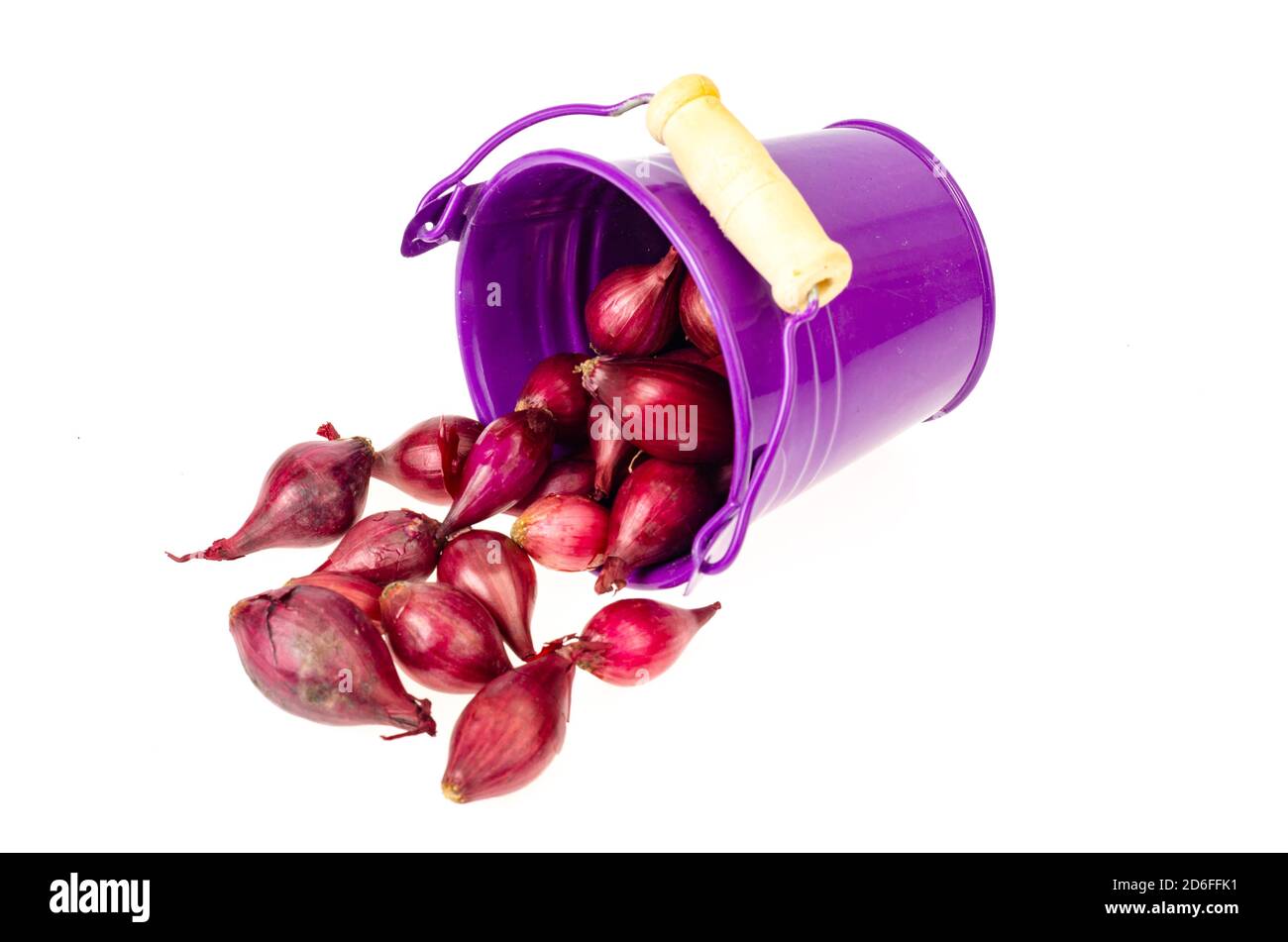 Planting red onion set hi-res stock photography and images - Alamy