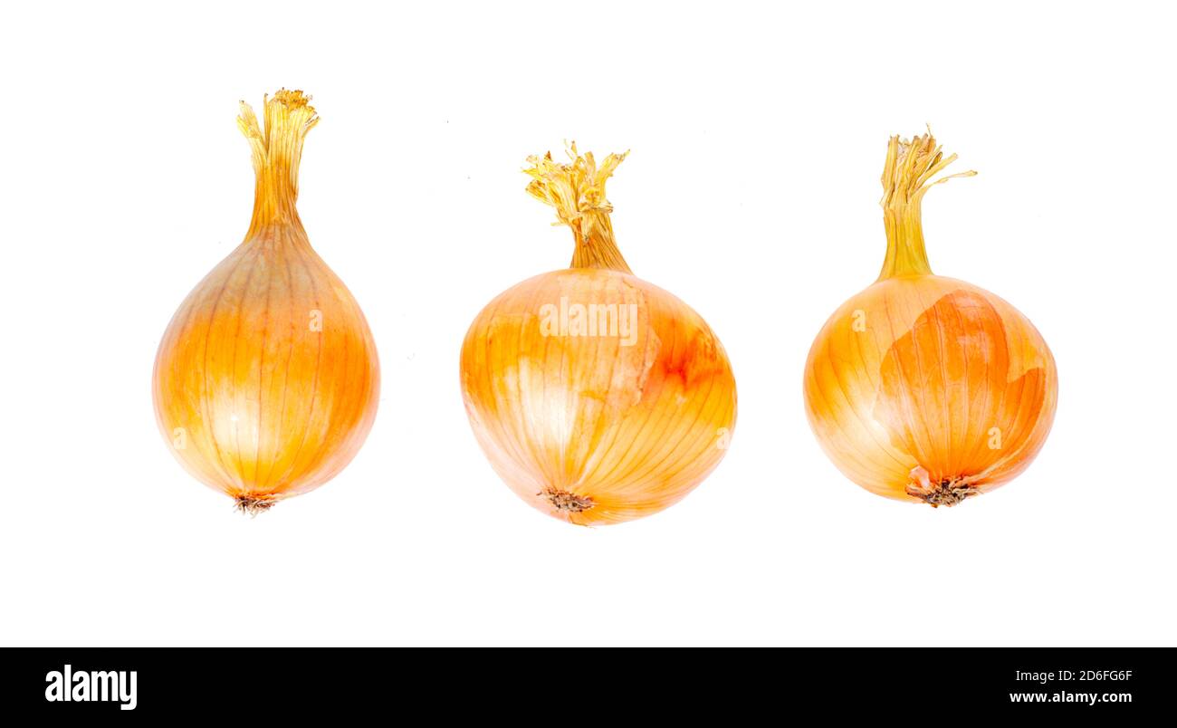 Unpeeled round brown onions hi-res stock photography and images - Alamy