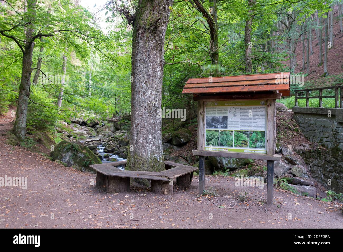 Germany, Saxony-Anhalt, Ilsenburg, Lower Ilse Falls, Harz National Park, Ilsetal, Heinrich-Heine hiking trail Stock Photo