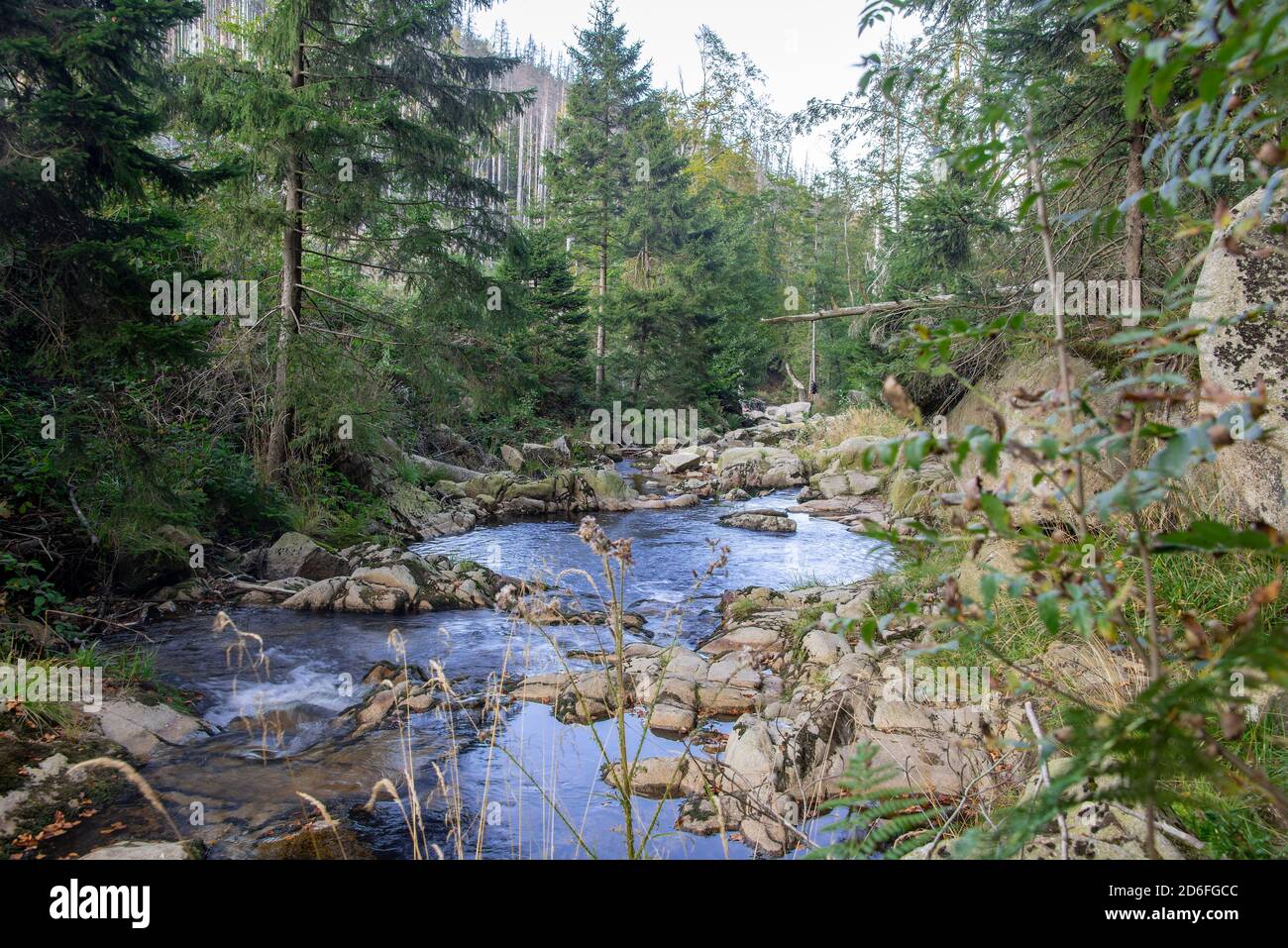 Germany, Saxony-Anhalt, Ilsenburg, Harz National Park, Ilsetal, Ilse River at the Upper Ilse Falls Stock Photo