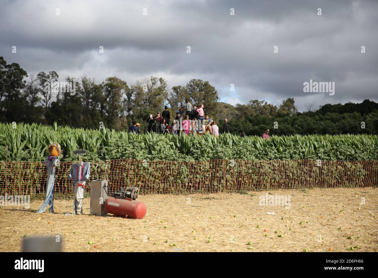 Fall Festival at Underwood Farms, Moorpark, California, USA Stock Photo