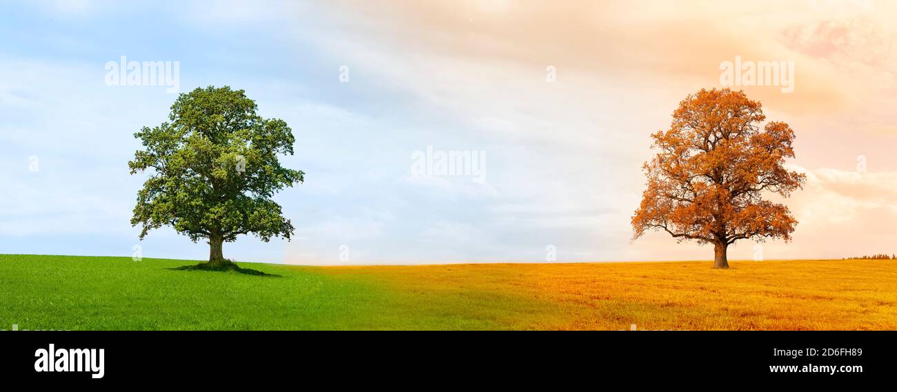 Seasons change from summer to autumn Stock Photo Alamy