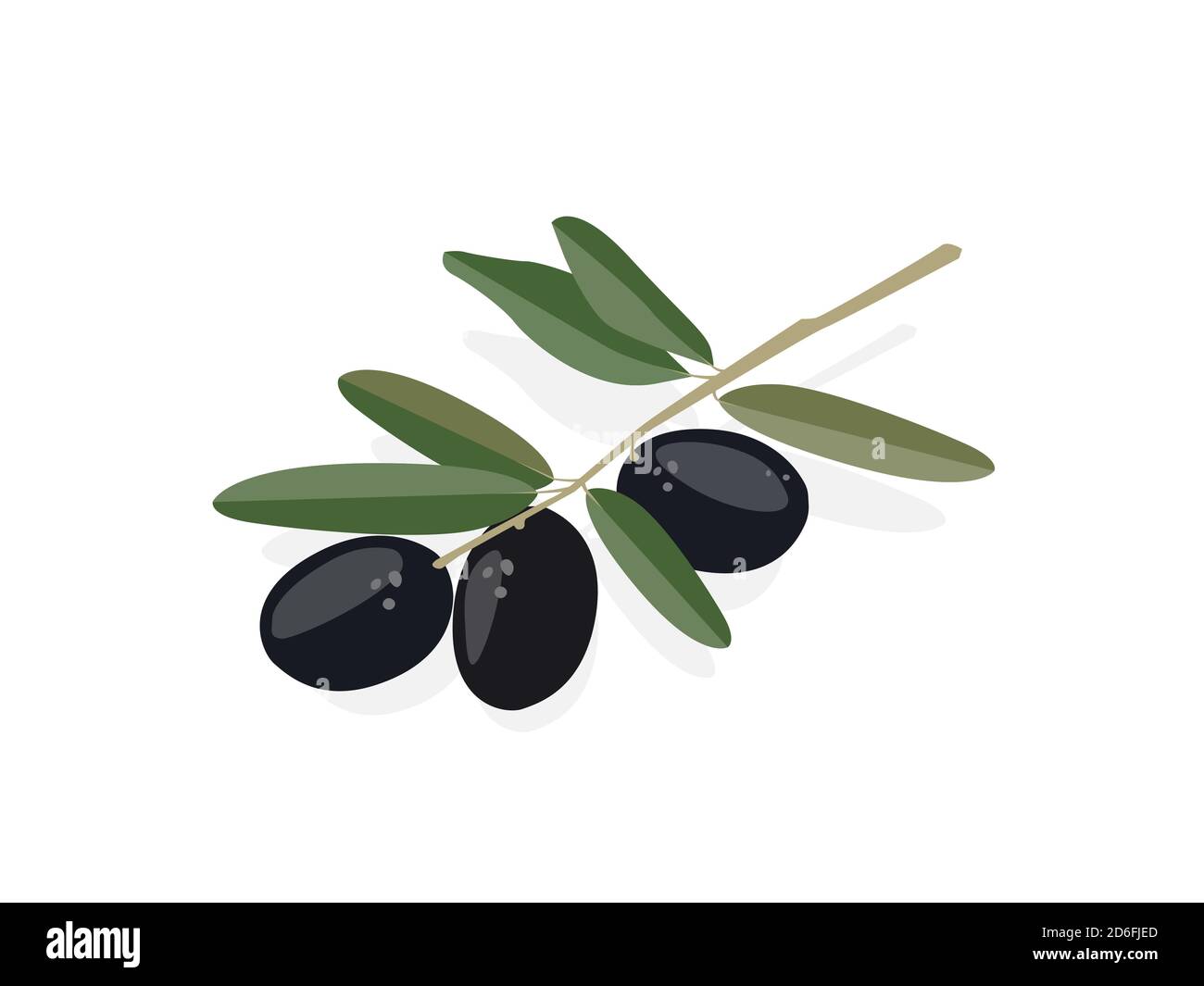 Olive tree branch with black olives. Vector flat illustration isolate Stock Vector