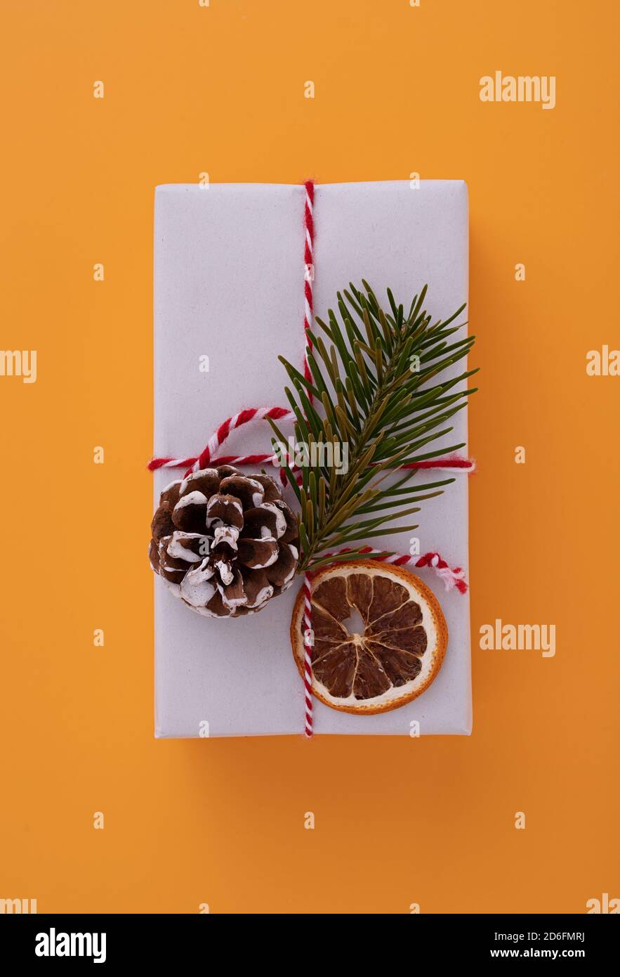 White gift box decorated with a red ribbon, fir tree branch, pine cone ...
