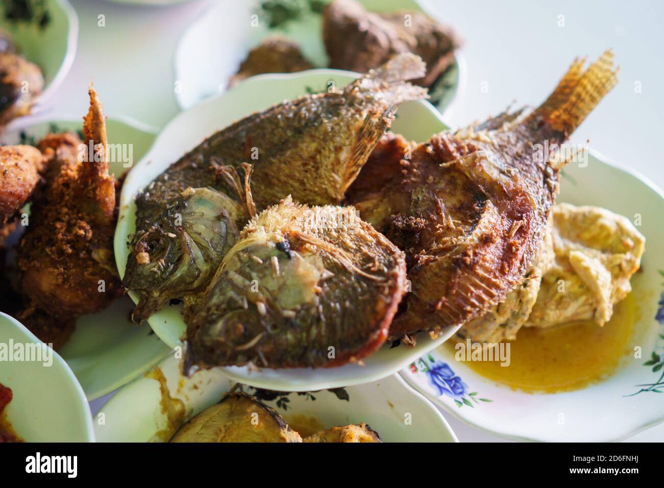 Gourami Fish High Resolution Stock Photography and Images Alamy