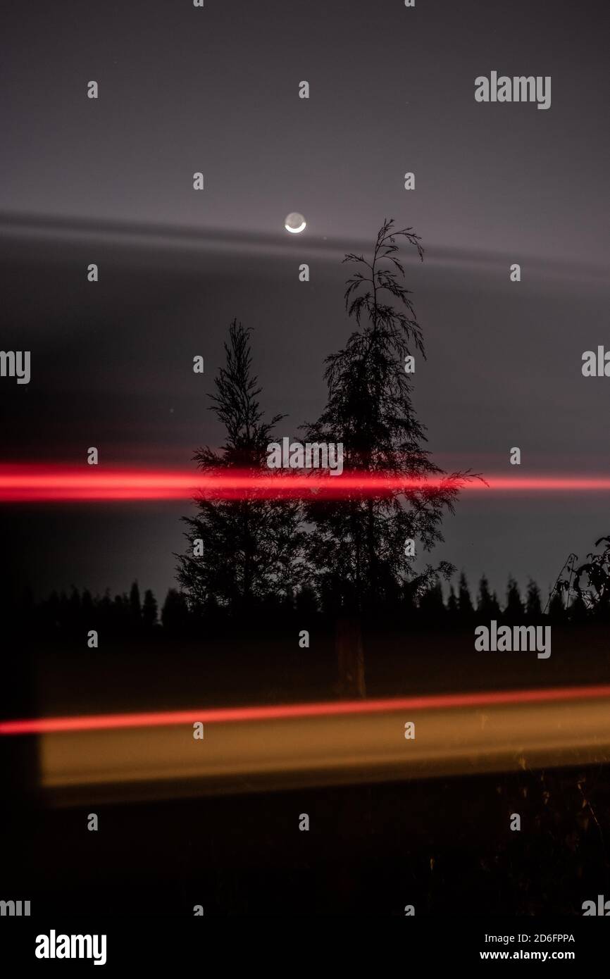 Vertical shot of silhouetted trees against the night sky with long ...