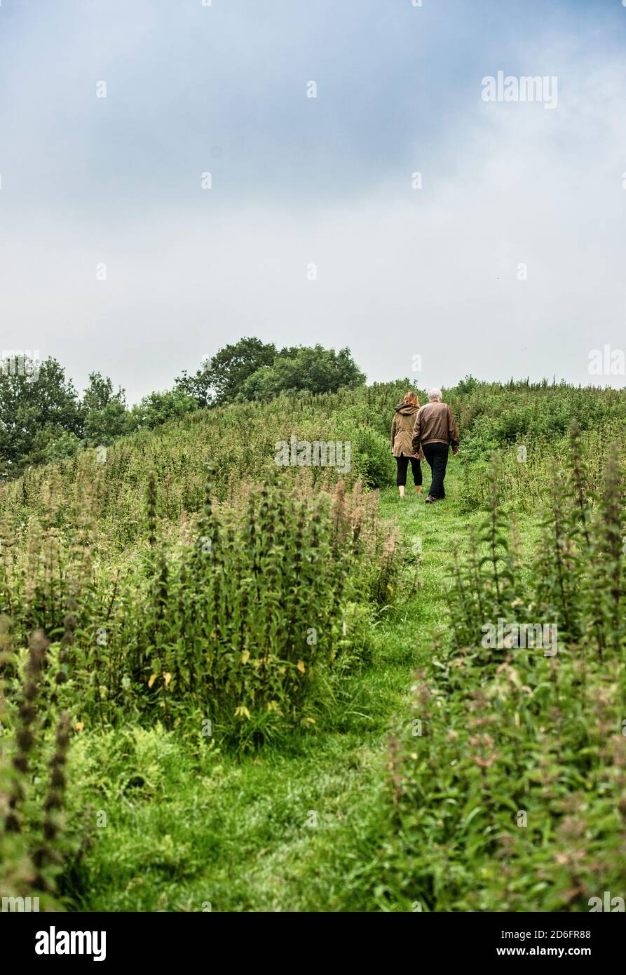 Wilderness walk on the hilltop over Glastonbury township, Somerset, England. A couple out for a hike. Copy Space. Vertical format. Stock Photo