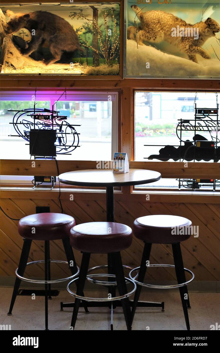 Taxidermy on display at the Moccasin Bar in Hayward, Wisconsin Stock Photo Alamy