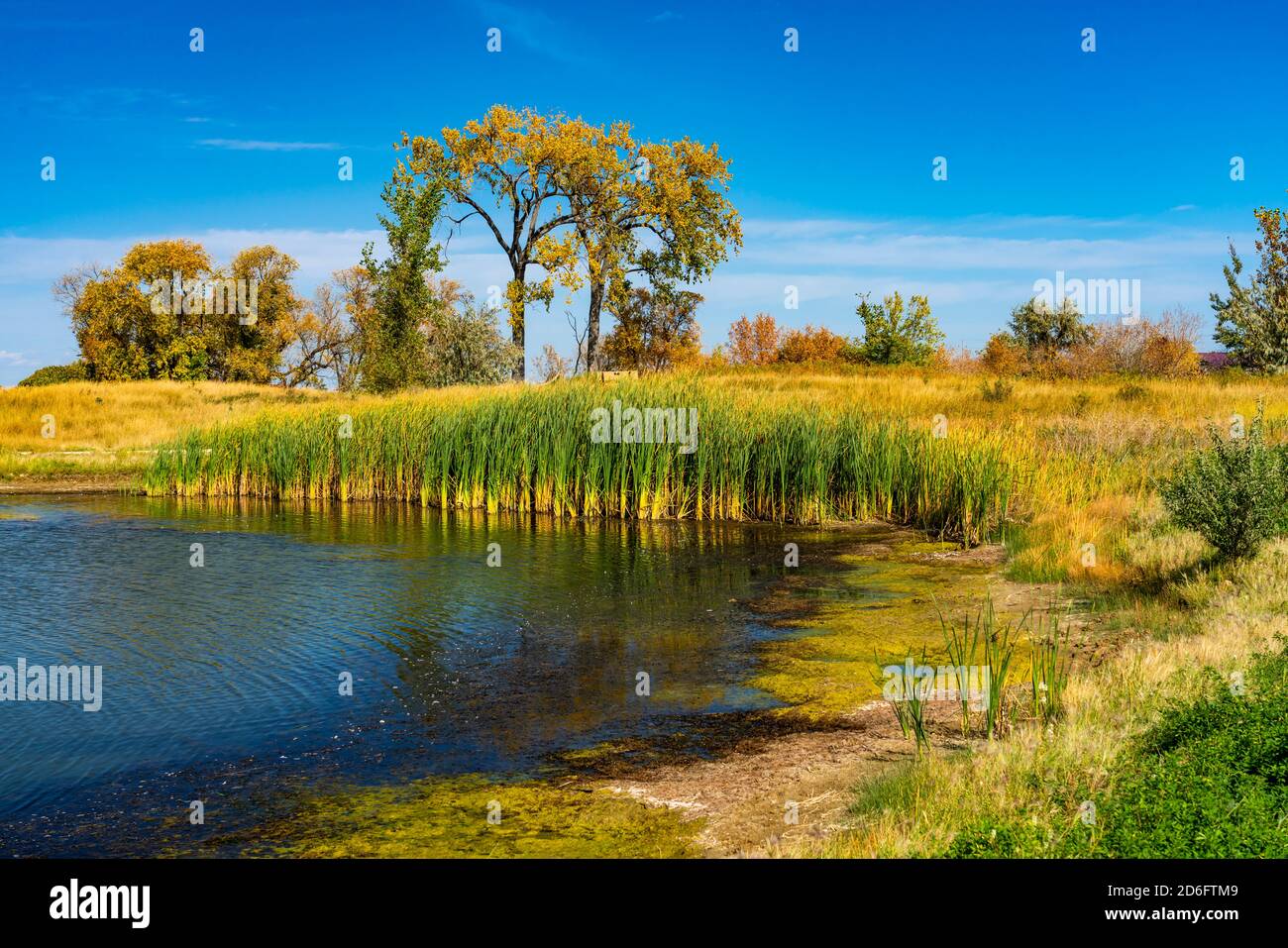 A small pond and fall foliage color at the  Discovery Nature Sanctuary, Winkler, Manitoba, Canada. Stock Photo