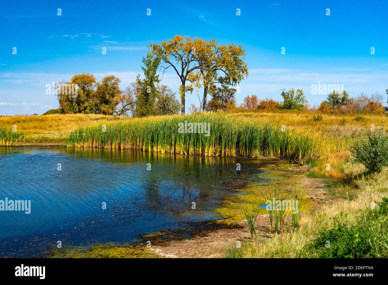 A small pond and fall foliage color at the  Discovery Nature Sanctuary, Winkler, Manitoba, Canada. Stock Photo