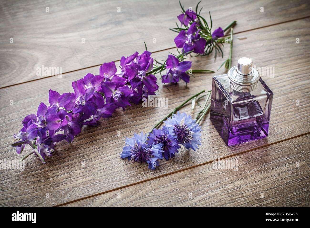 Bottles of perfume with knapweeds flowers on wooden boards. Top view. Stock Photo