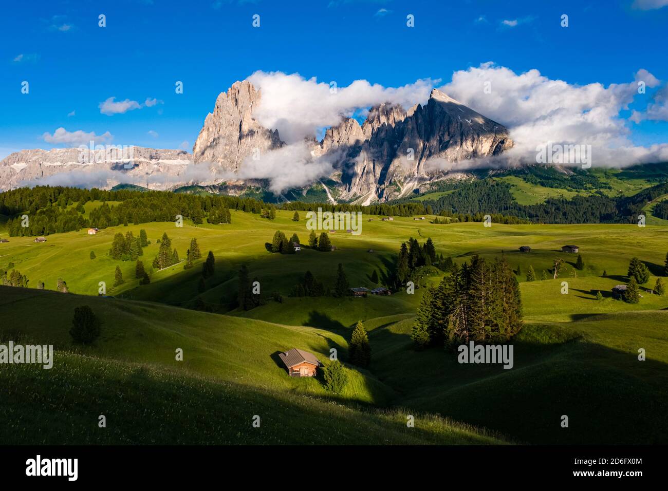 Hilly agricultural countryside with green pastures, trees and wooden huts at Seiser Alm, Alpe di Siusi, the mountain Plattkofel, Sasso Piatto, surroun Stock Photo