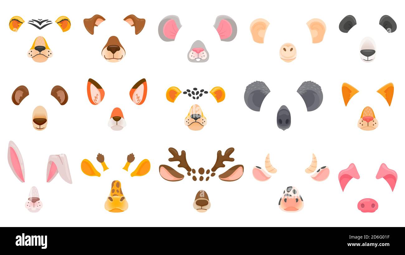 Animal face for video chat. Filter masks of animals. Fox, panda and koala,  deer and bear, cheetah and tiger, dog and cat. Cartoon vector set Stock  Vector Image & Art - Alamy