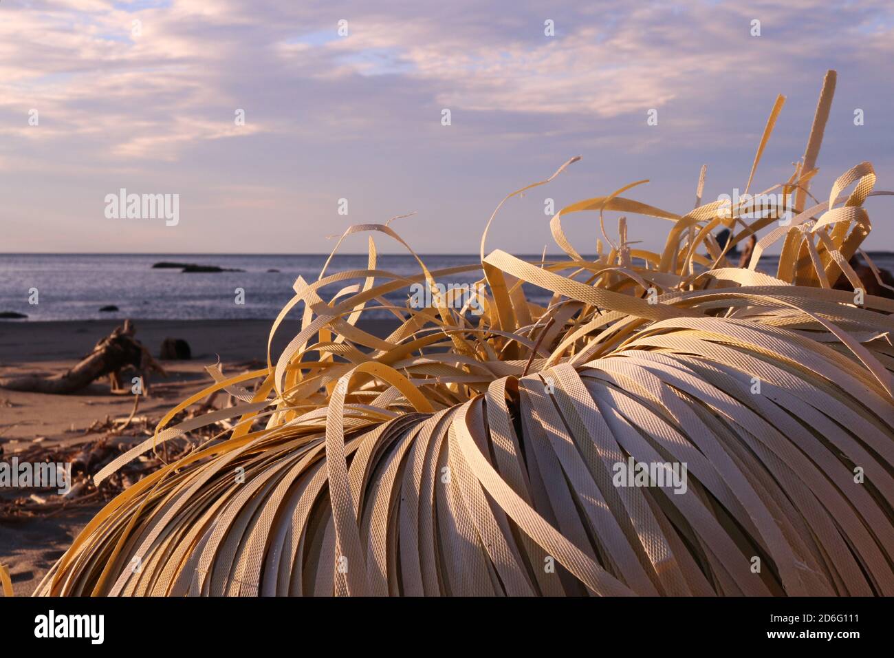 Yellow plastic straps washed up on a beach. Ocean in background. Stock Photo