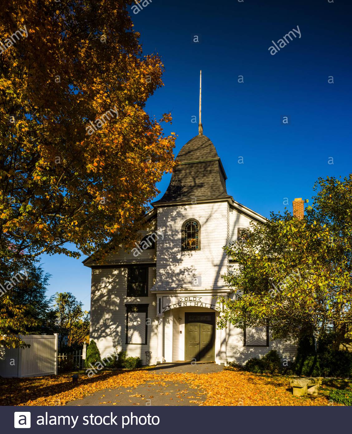 New Forest Victorian High Resolution Stock Photography and Images Alamy