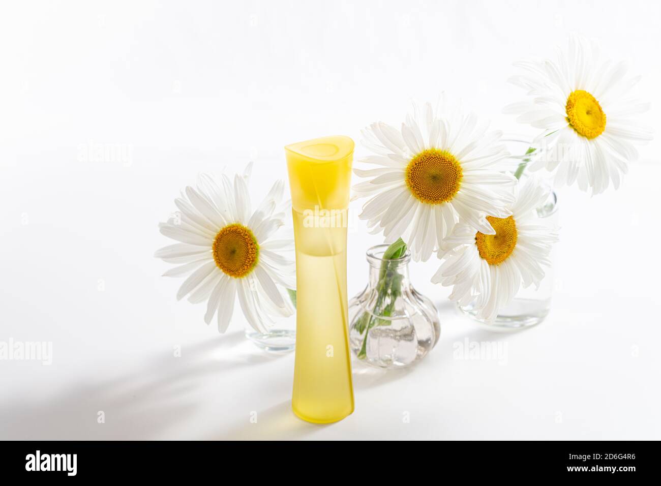 Beautiful chamomiles or daisy flowers and cosmetic product in bottle on white. Floral composition with perfume or essential oils. Organic cosmetology, Stock Photo