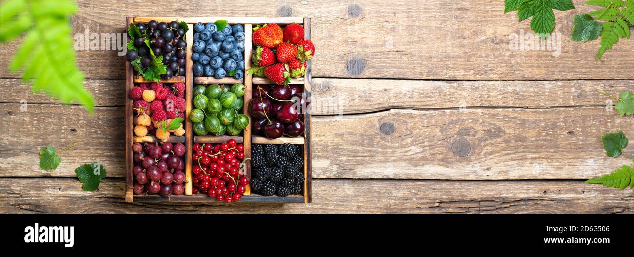 Mix of fresh berries with leaves in wooden box on rustic background. Forest summer berries. Various berries healthy food. Top view. Long web format, c Stock Photo