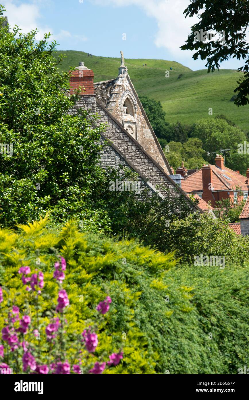 Lush nature framing a peak of the Glastonbury abbey Barn, part of the Somerset Rural Life Museum. Glastonbury Tor hill is in the background. Vertical. Stock Photo