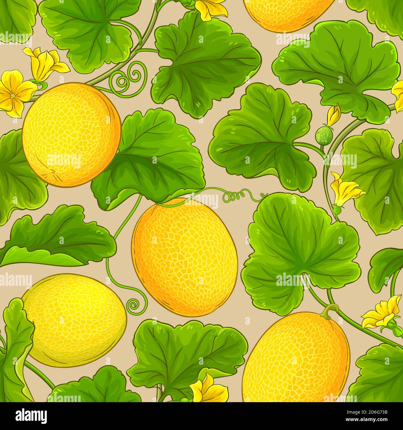 melon vector pattern Stock Vector