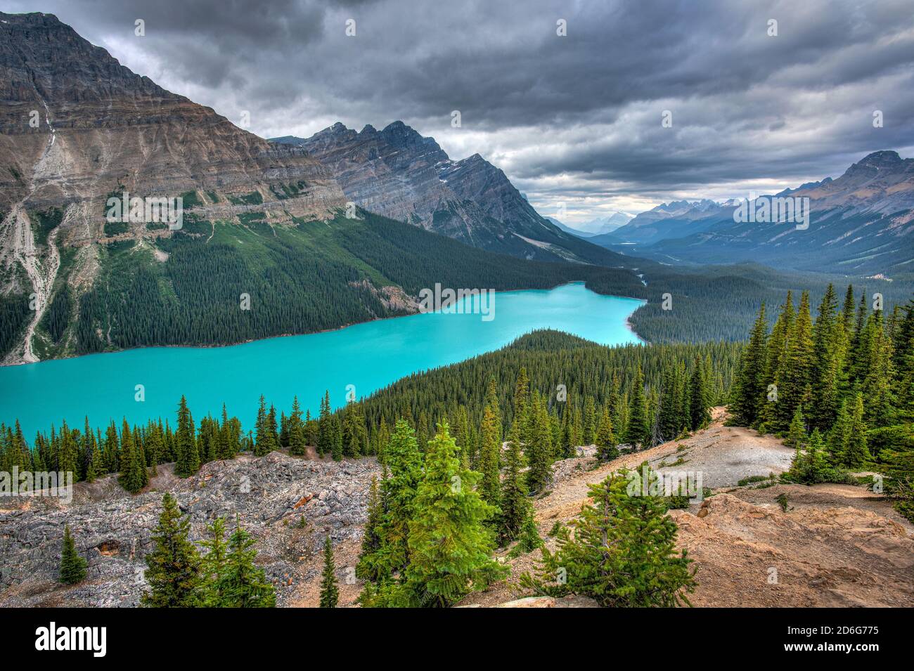 The amazing Peyto Lake in Canada. Stock Photo