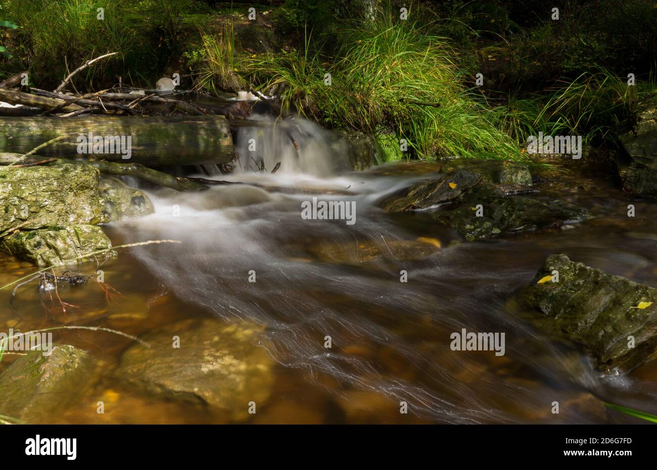 Tiny creek called Poulhon at hiking path in belgium Stock Photo