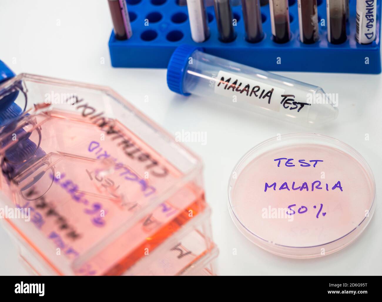 Laboratory research on the insecticide clothianidin, cause of malaria disease through The Anopheles family of malarial mosquitoes, conceptual image Stock Photo