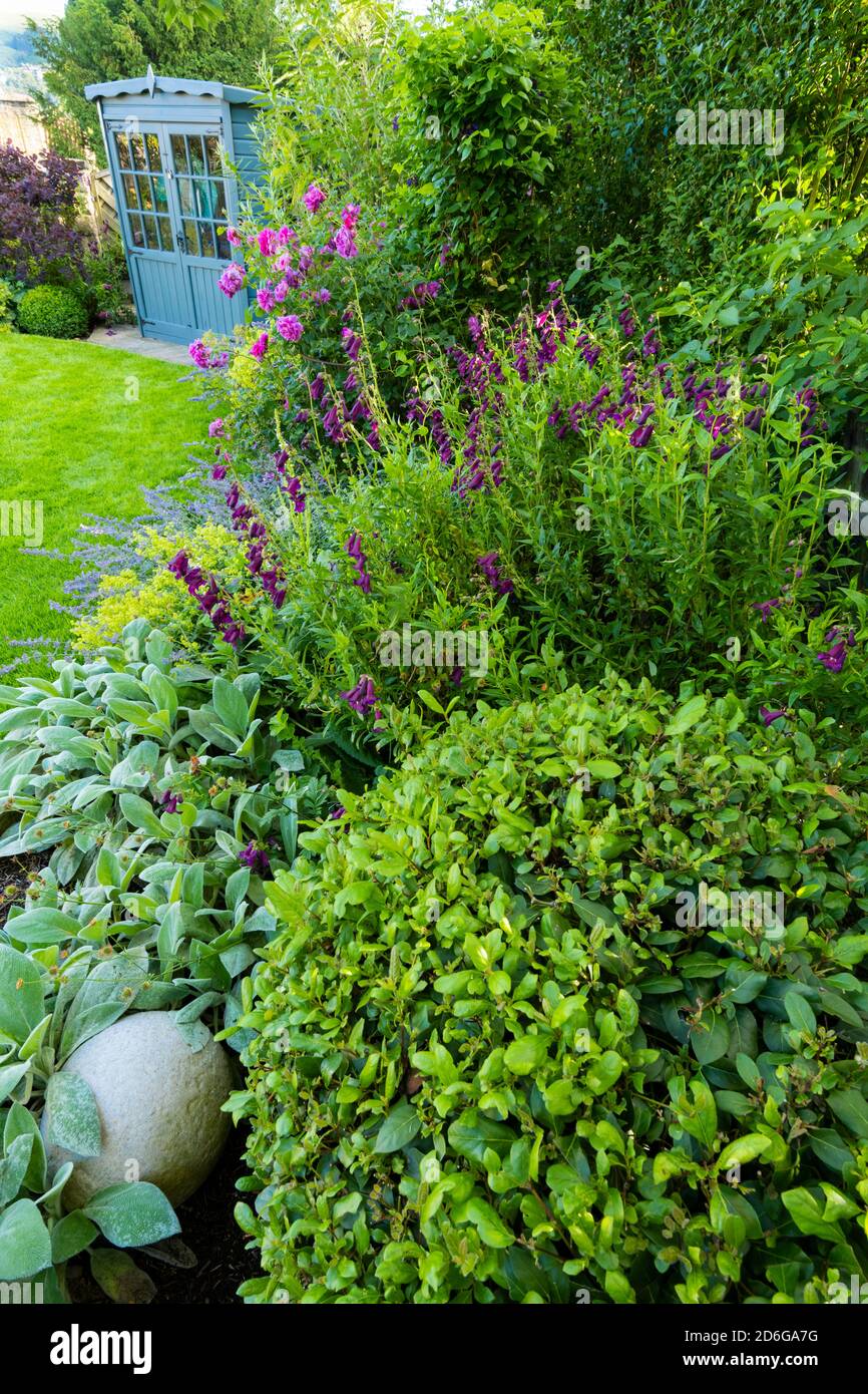 Landscaped sunny private garden (contemporary design, summer flowers, border plants, summerhouse shed, stone globe, lawn) - Yorkshire, England, UK. Stock Photo