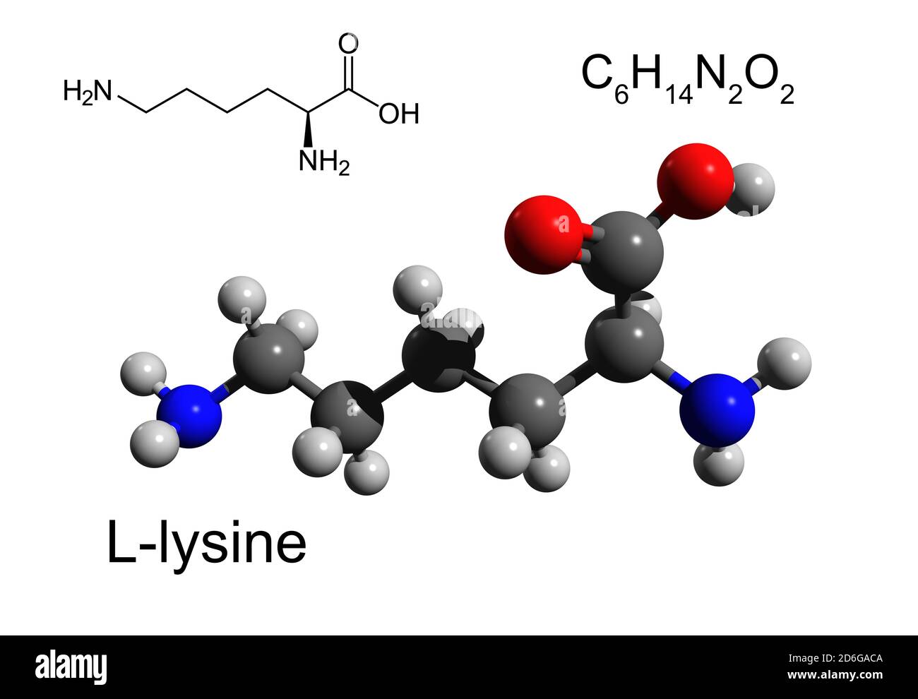 Chemical formula, structural formula and 3D ball-and-stick model of L-lysine, an essential amino acid, white background Stock Photo