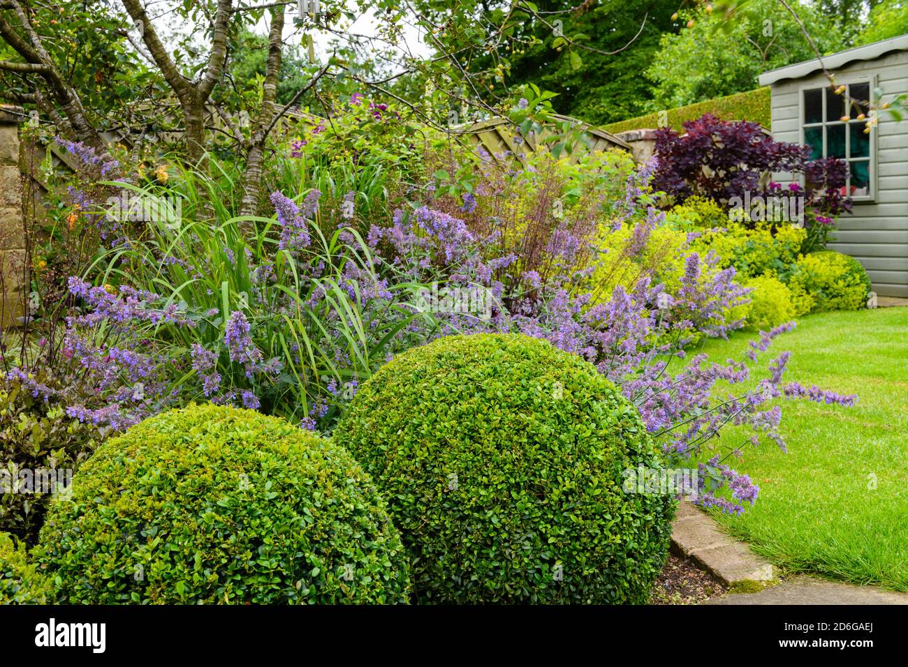 Landscaped private garden (contemporary design, summer flowers, border plants & shrubs, summerhouse shed, box balls, lawn) - Yorkshire, England, UK. Stock Photo