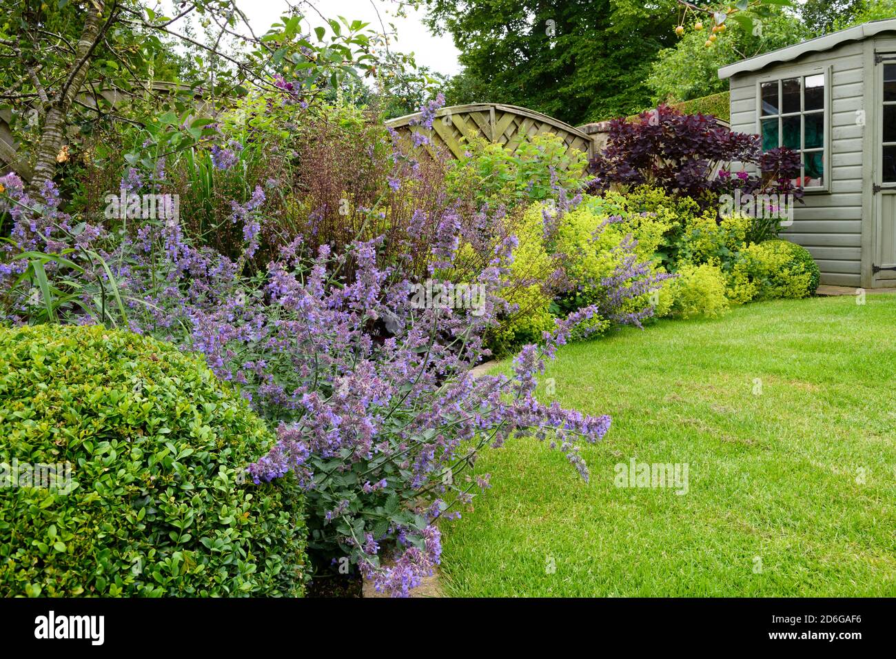 Landscaped private garden (contemporary design, summer flowers, mixed border plants & shrubs, corner summerhouse shed, lawn) - Yorkshire, England, UK. Stock Photo