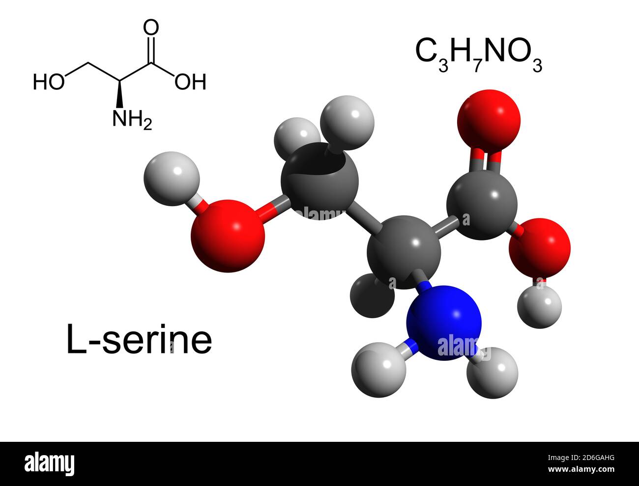 Chemical formula, structural formula and 3D ball-and-stick model of L-serine, an essential amino acid, white background Stock Photo